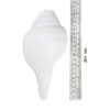 Vamavarti Engraved Loud Blowing Shankh,  Conch Shell for Pooja (White, Wet; 800-1000gm) - Image 5