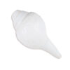 Vamavarti Engraved Loud Blowing Shankh,  Conch Shell for Pooja (White, Wet; 800-1000gm)
